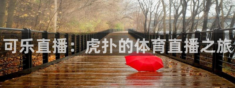 可乐直播：虎扑的体育直播之旅