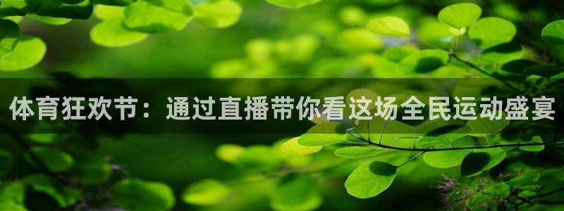 体育狂欢节：通过直播带你看这场全民运动盛宴