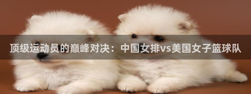 顶级运动员的巅峰对决：中国女排vs美国女子篮球队
