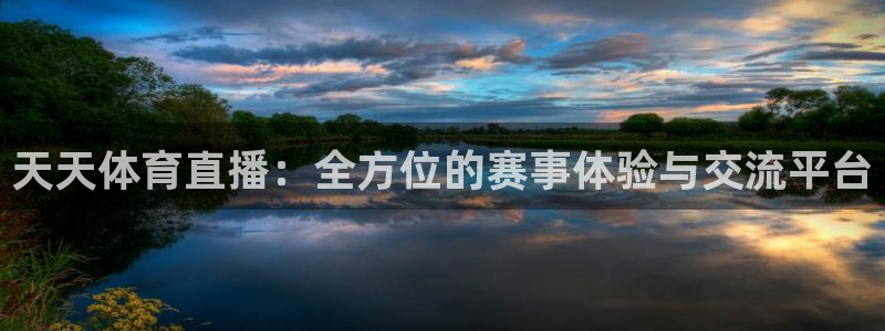天天体育直播：全方位的赛事体验与交流平台