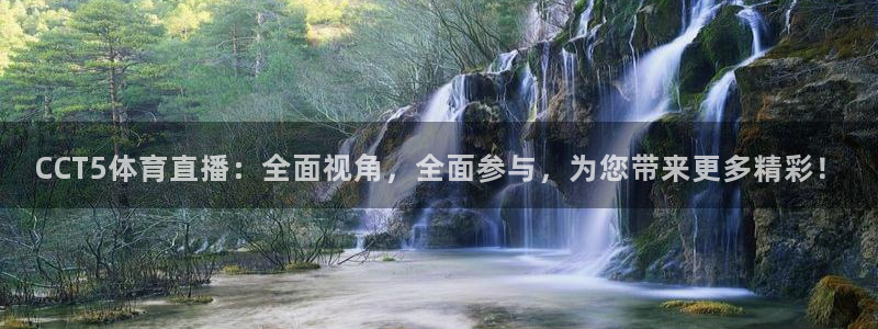 CCT5体育直播：全面视角，全面参与，为您带来更多精彩！