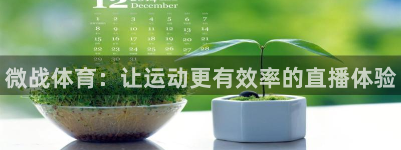 微战体育：让运动更有效率的直播体验