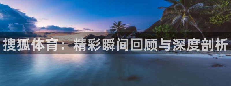 搜狐体育：精彩瞬间回顾与深度剖析