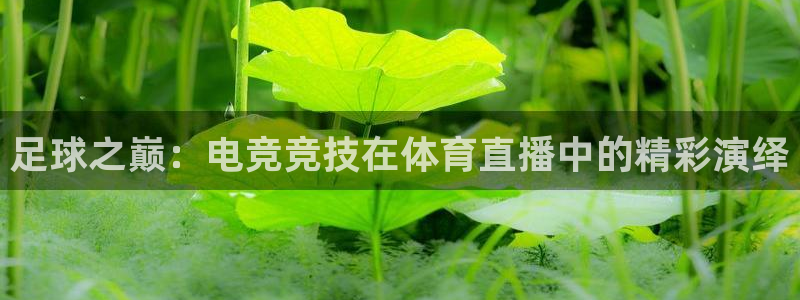 足球之巅：电竞竞技在体育直播中的精彩演绎