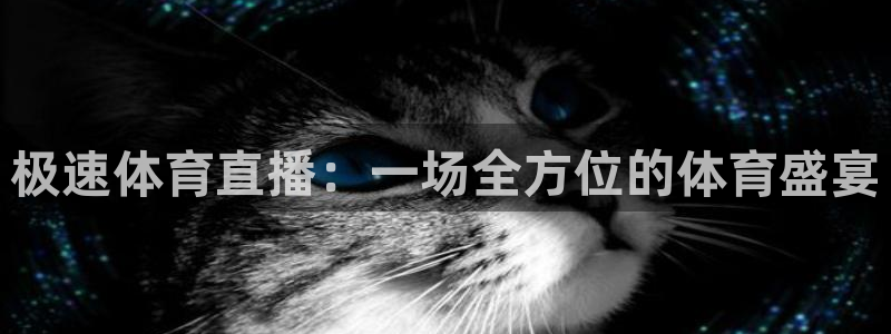 极速体育直播：一场全方位的体育盛宴