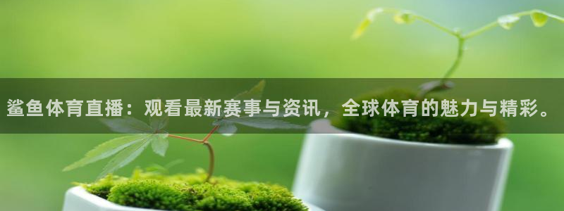 鲨鱼体育直播：观看最新赛事与资讯，全球体育的魅力与精彩。