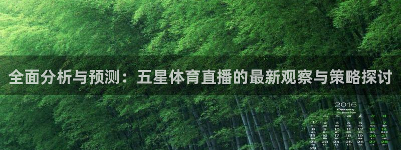 全面分析与预测：五星体育直播的最新观察与策略探讨